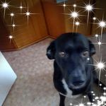 Marianne Hoffmann - @marianne.hoffmann.5872 - Instagram