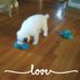 Marianne Killian - Facebook