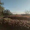 mariannemackley1 - @mariannemackley1 - TikTok