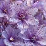 Marianne Mann Whitlock - @whitlockmann - Instagram