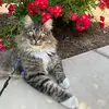mariannehuvermann - @mariannehuvermann - TikTok