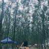 Marianne Robles - @marianne.robles - TikTok