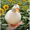 Marianne Simpson - @carmina102394 - TikTok