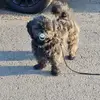 Marianne Stein - @marianne.stein8 - TikTok