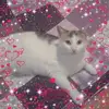 Marianne Steinhöfel - @marianne.steinhfe - TikTok