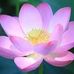 Marianne Stuart - Facebook