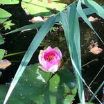 Marianne Stuart - @stuart.marianne - Instagram