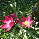 Marianne-Werner Kröplin - @wm.kroeplin - Instagram