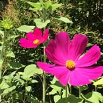 Marianne Wiley - @wileymarianne - Instagram