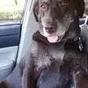Mariann M Workman - @mariannmworkman - TikTok