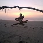 Mariann M Workman - @mariannmworkman - Instagram