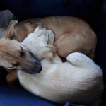 Marianne Wright Wagner - @marianne4785 - Instagram