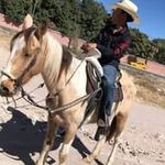 Mariano Garcia Madera - @marianogarciamadera - Instagram