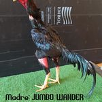 Mariano Madera - @marianomadera145 - Instagram
