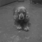 Maribel Arce - Facebook