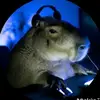 Maribel Avalos - @maribel.avalos56 - TikTok