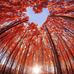 Maribel Barron - Facebook