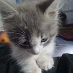 Maribel Chan - Facebook