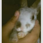 Maribel Chan Dzul - @dzulmaribelchan - Instagram