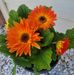 Maribel Baccay Mueller - Facebook