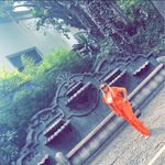 Maribel Murillo - @muri_llomari - Instagram