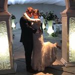 Maribel Murillo Alvarado - @ma.ribel1067 - Instagram