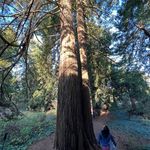 Maribel Ryan Wallace - @maribel_wallace - Instagram