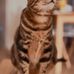 Mary Ward - Facebook