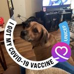 Maribeth Breidel - @genuine66mb - Instagram