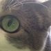 Maribeth Crowell - Facebook