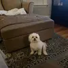 maribethgray742 - @maribethgray742 - TikTok