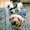 maribethgray81 - @maribethgray81 - TikTok
