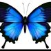 Maricel Aure - Facebook