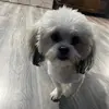 user4579615238820 - @maricelydeleon - TikTok