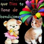 Maricela Angulo - @maricela.angulo.9066 - Instagram