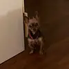 maricelasmith878 - @maricelasmith878 - TikTok