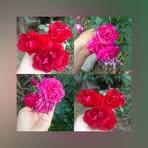 Maricela Sorto - Facebook