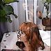 Maricela Wise - Facebook