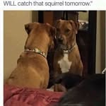 Marie Aaron Cowden - @cowdenmarie - Instagram