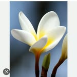 Marie Abboud - @marie126996 - Instagram