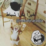 marie belle abboud - @marie_belle_abboud - Instagram