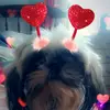 Penny Marie Aber🖤 - @pennymarieaber2004 - TikTok