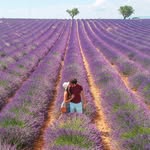 👫 𝑀𝑎𝑟𝑖𝑒 & 𝐴𝑑𝑟𝑖𝑒𝑛 - @travelingcigales - Instagram
