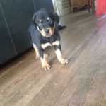 Lexi Marie Ahearn - @lexi_ahearn - Instagram