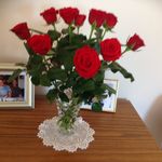 Marie Ahearn - @graememarie1 - Instagram