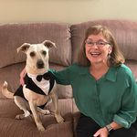 Marie Ahearn - @mariecahearn - Instagram