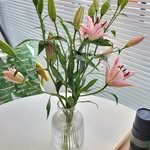 Marie Ahn - @starbean22 - Instagram