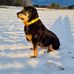 Marie Allard - Facebook