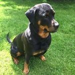 Marie Allard - @allard.marie - Instagram