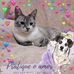 Marie Amaral - Facebook